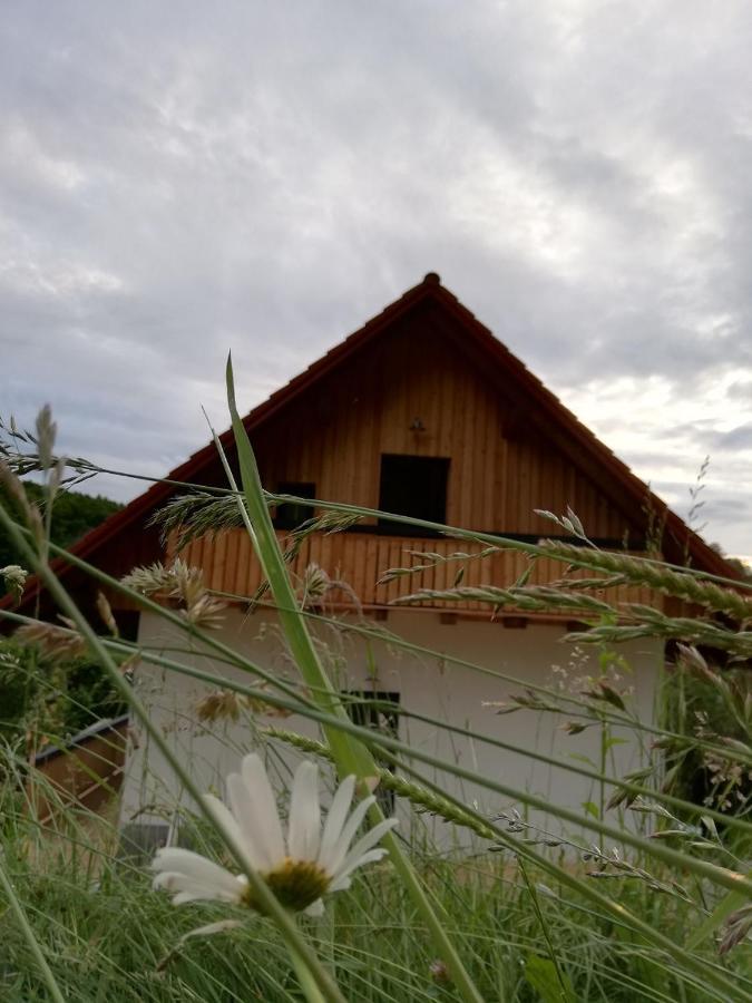 Bioferienhaus Muster - Dominkusch Possnitz ภายนอก รูปภาพ